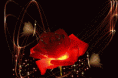 /album/galleria-foto-homepage4/a2716320126-1-2-gif/
